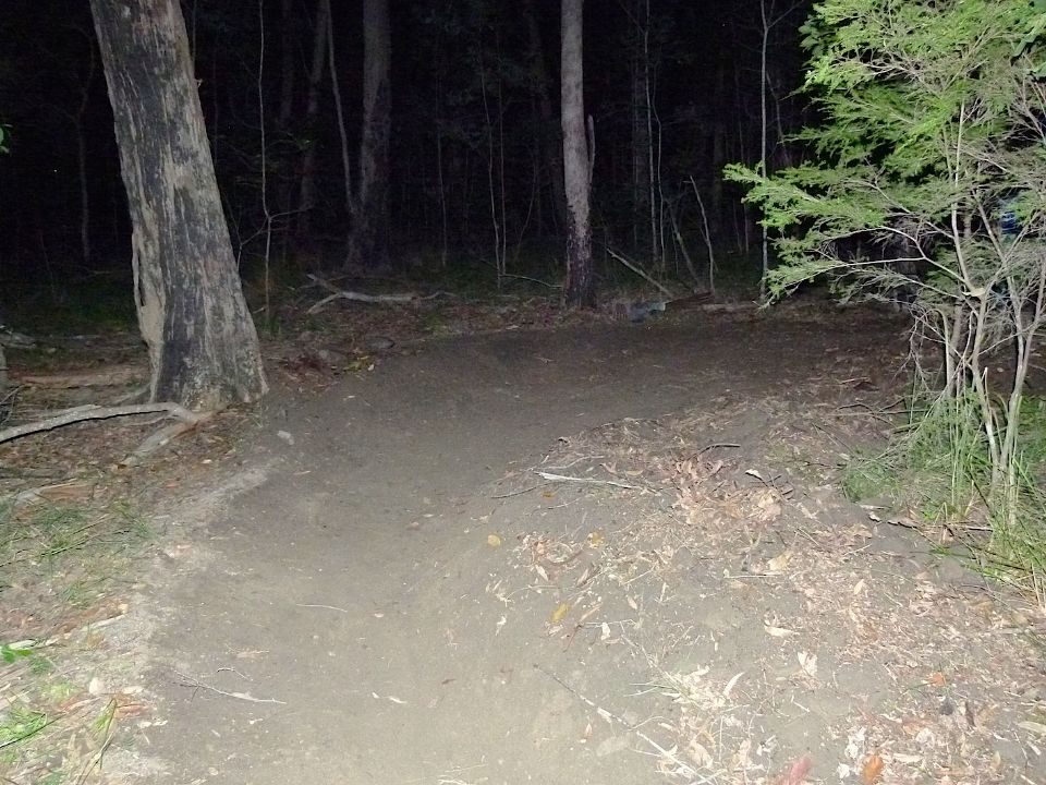 P1160530.jpg